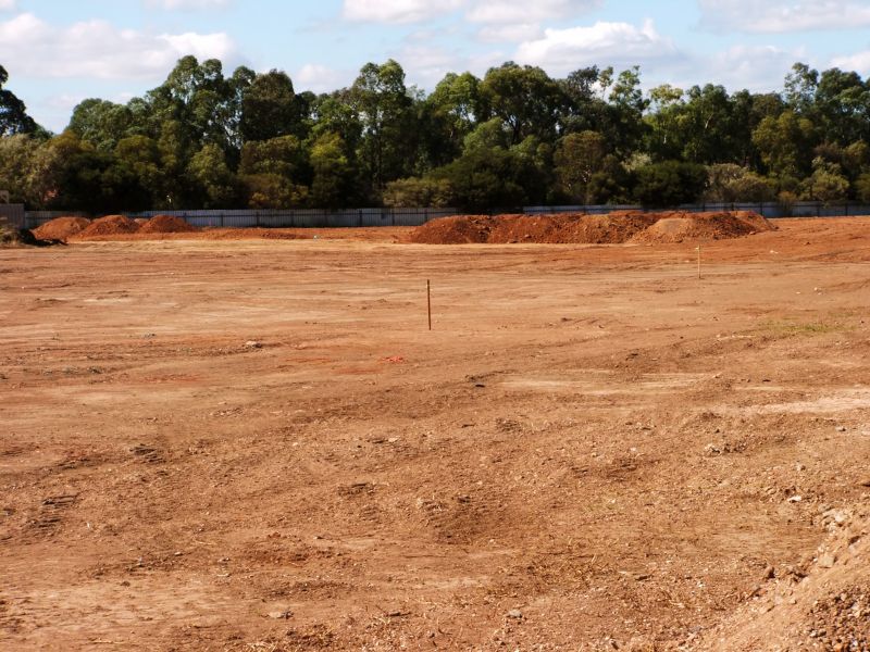 Construction Site Land Clearing in Katy, TX