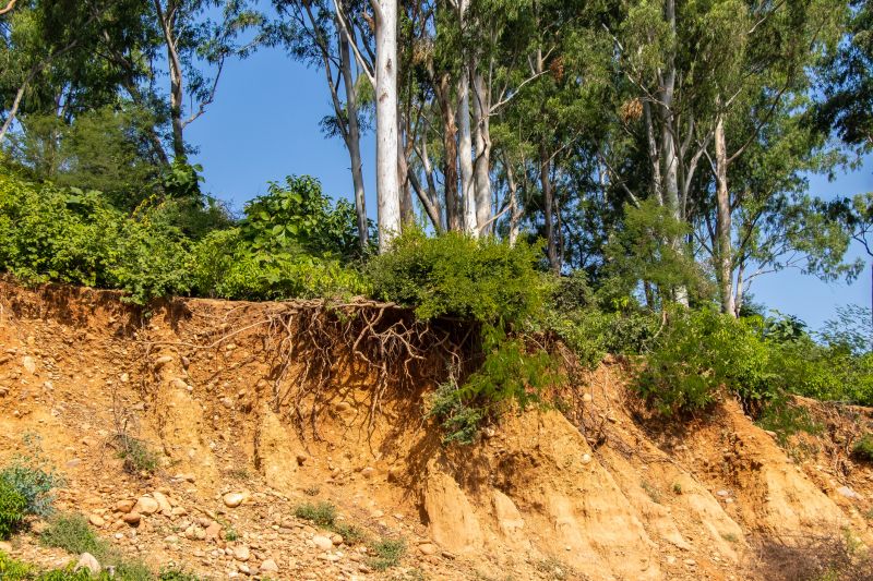 Cost of Slope Grading — Cost of Slope Grading