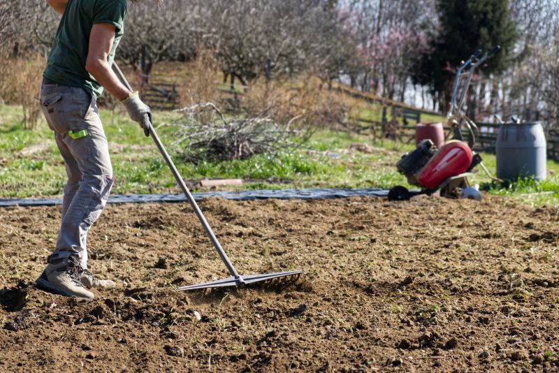 Earthwork Service in Houston, TX