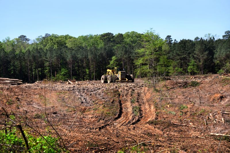 Ground Clearing in Houston, TX