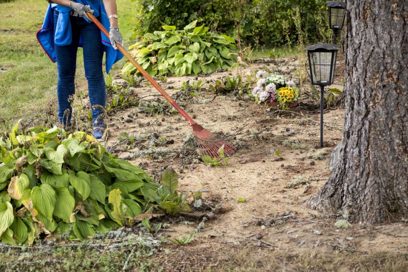 Slope Clearing in Salt Lake City, UT