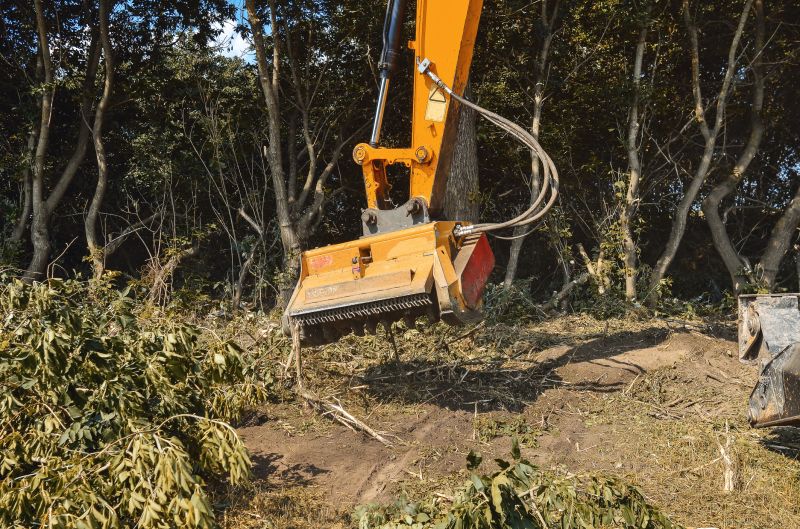 Undergrowth Removal in Katy, TX